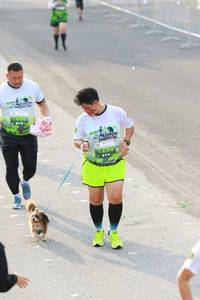 BIB: 
                            <button type="button" onclick="openModal(3552870)" class="btn btn-primary btn-sm float-right btn-popup" data-toggle="modal" data-target=".modal-high-quality">
                        <i class="fas fa-shopping-cart"></i> Add to Cart
                    </button>
                                            <button type="button" onclick="isThisMe(3552870, true)" class="btn btn-success btn-sm float-right btn-popup btn-isme hidden" data-toggle="tooltip" data-placement="bottom" title="นี่คือรูปของคุณใช่ไหม คลิกที่นี่เพื่อเอาเข้าอัลบั้ม">
                        <i class="fas fa-plus"></i> Add to album
                    </button>
                    <button type="button" onclick="isThisMe(3552870, false)" class="btn btn-warning btn-sm float-right btn-popup btn-isnotme hidden">
                        <i class="fas fa-ban"></i> Remove from album
                    </button>